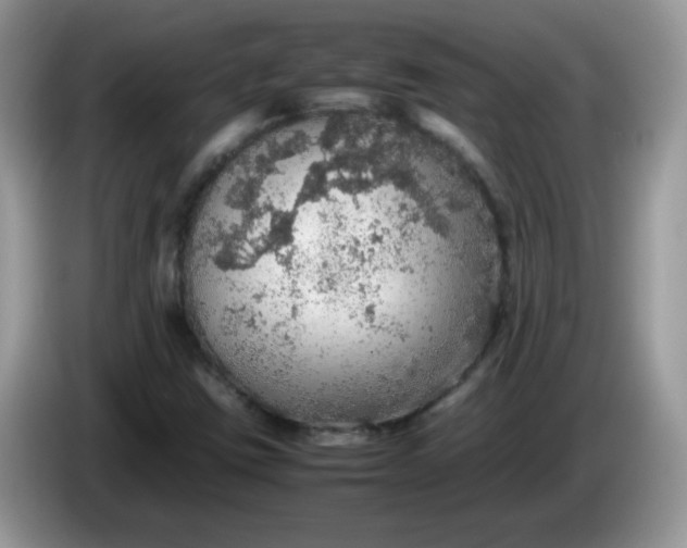 X0000086231403200704121907