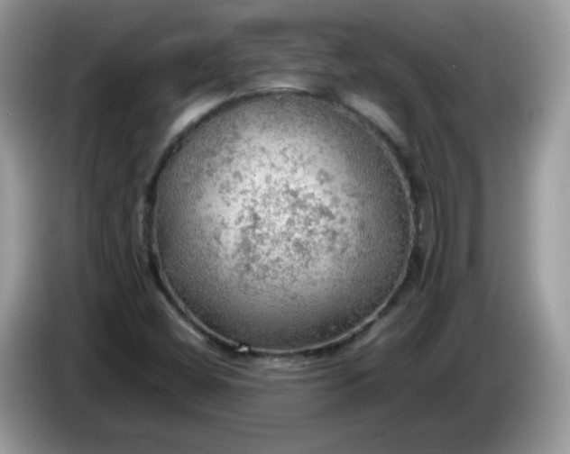 X0000086231404200704121907