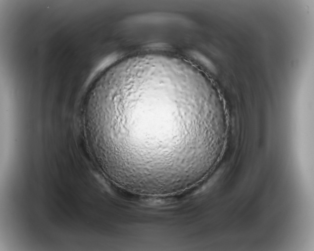 X0000086231405200704121907