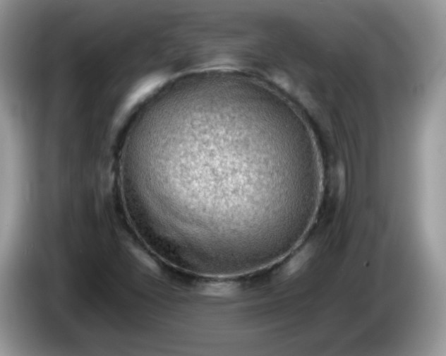 X0000086231406200704121907