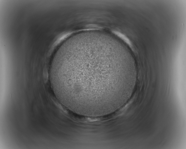 X0000086231407200704121907