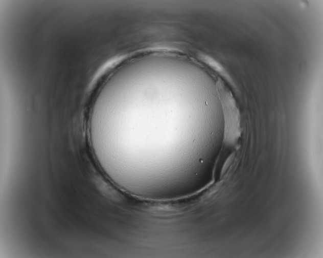 X0000086231408200704121907