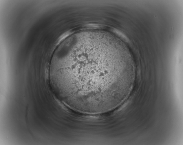 X0000086231409200704121907