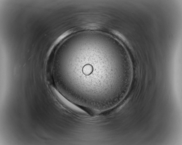 X0000086231410200704121907