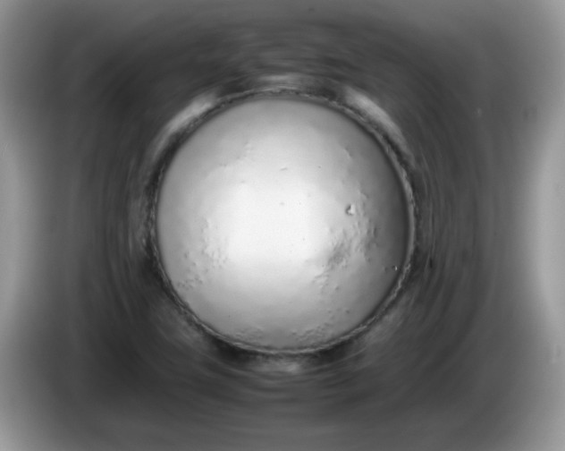 X0000086231411200704121907