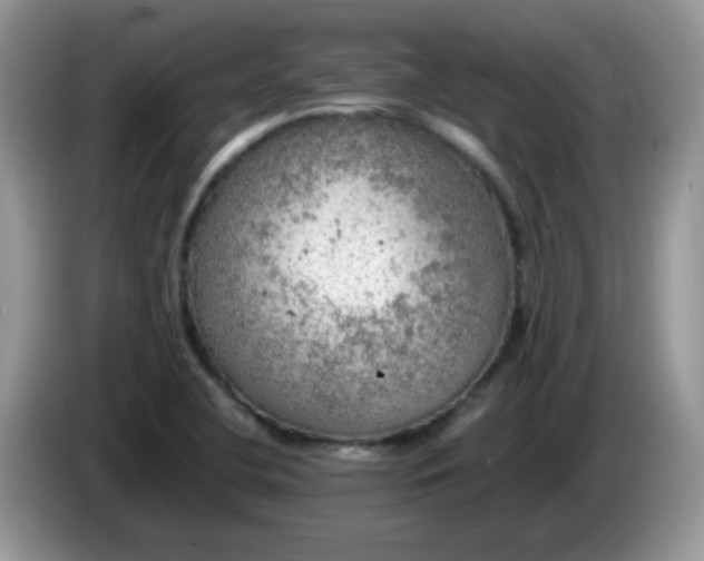 X0000086231412200704121907