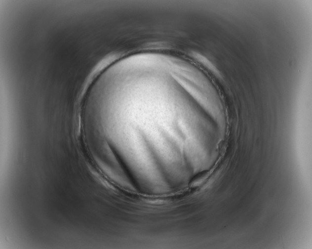 X0000086231413200704121907