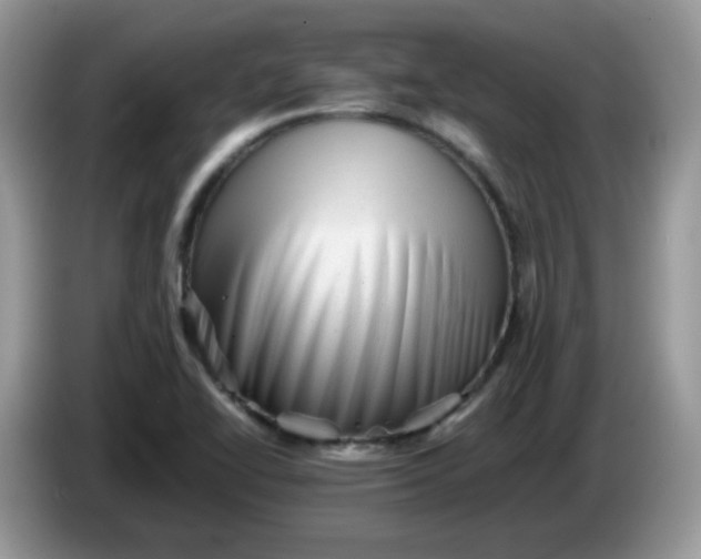 X0000086231414200704121907