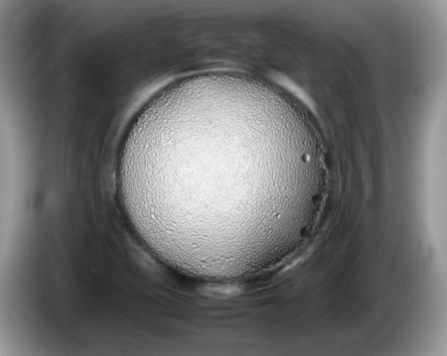 X0000086231415200704121907