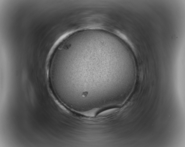 X0000086231416200704121907