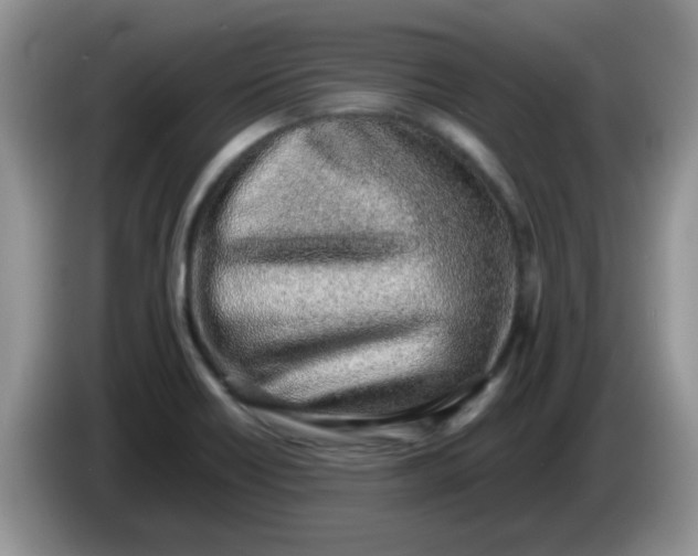 X0000086231418200704121907