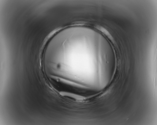 X0000086231419200704121907