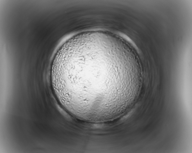 X0000086231421200704121907