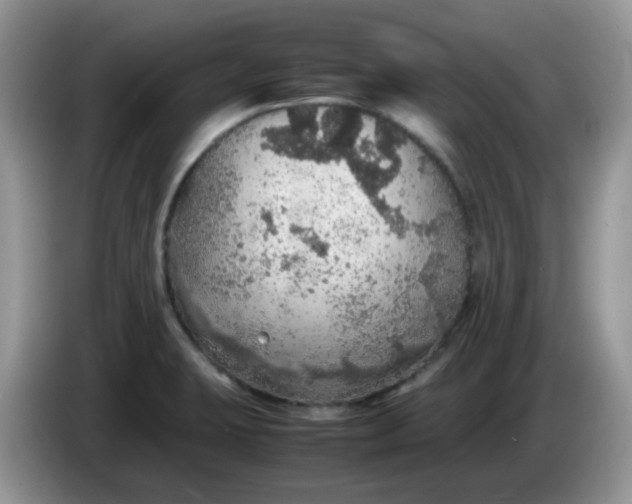 X0000086231423200704121907