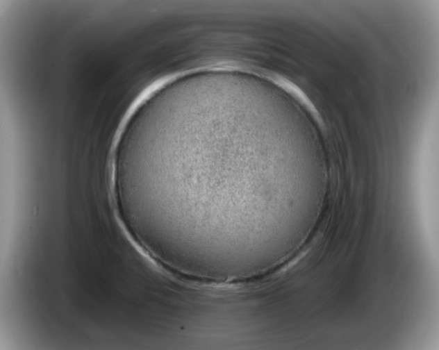 X0000086231424200704121907