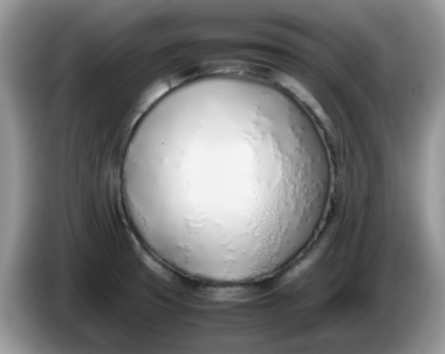 X0000086231425200704121907