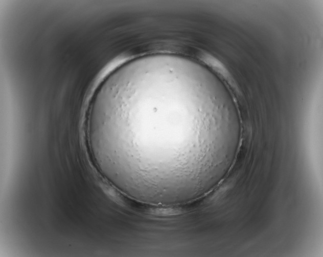 X0000086231427200704121907