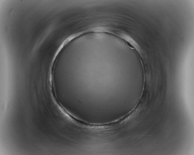 X0000086231428200704121907