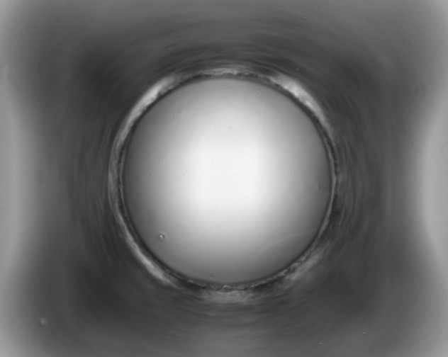 X0000086231429200704121907