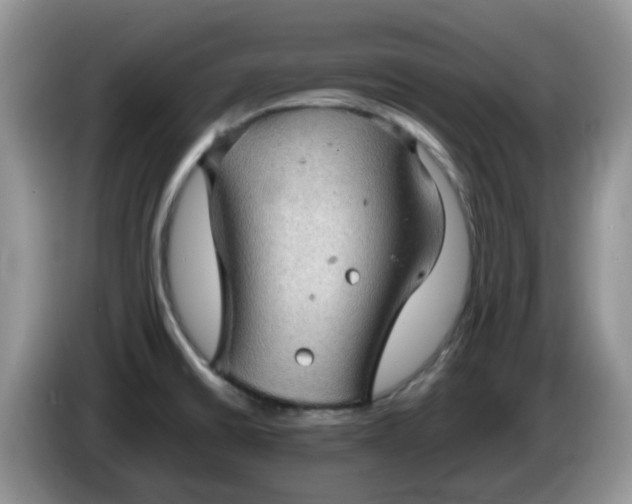 X0000086231430200704121907