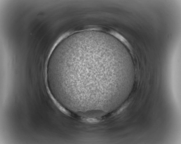 X0000086231431200704121907