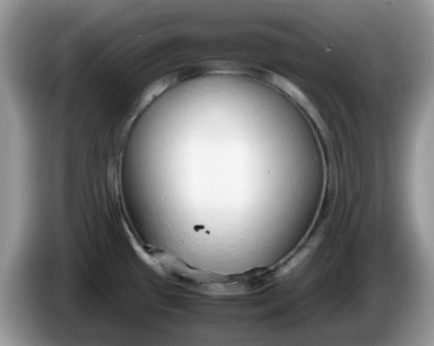 X0000086231433200704121907