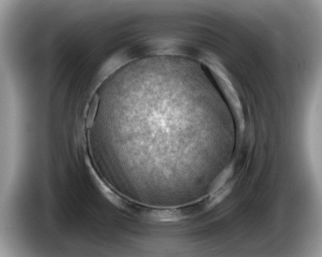 X0000086231434200704121907