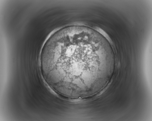 X0000086231436200704121907