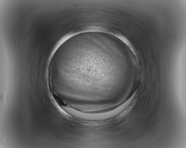 X0000086231438200704121907