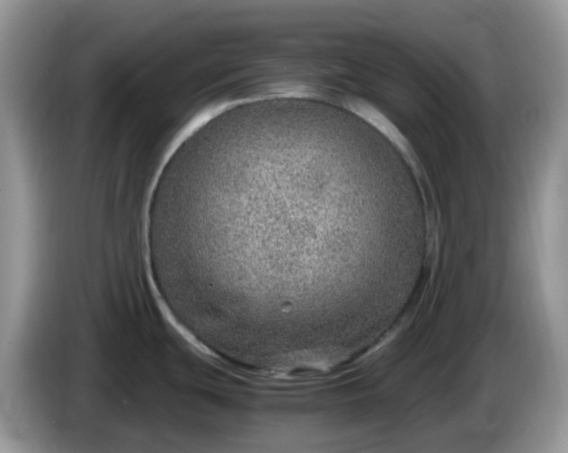 X0000086231439200704121907