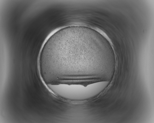 X0000086231440200704121907