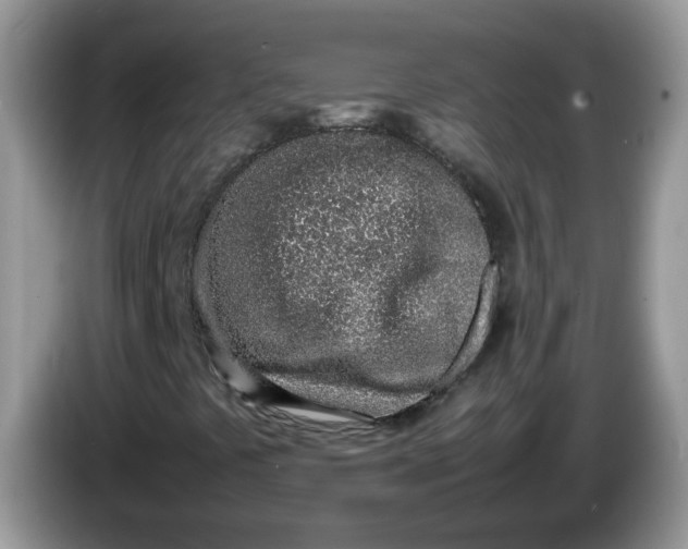 X0000086231441200704121906