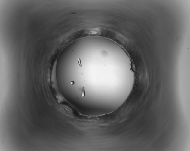 X0000086231442200704121906