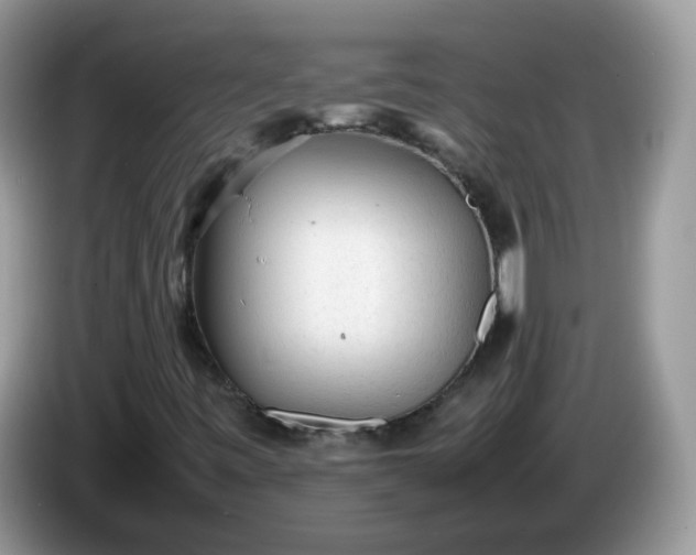 X0000086231443200704121906