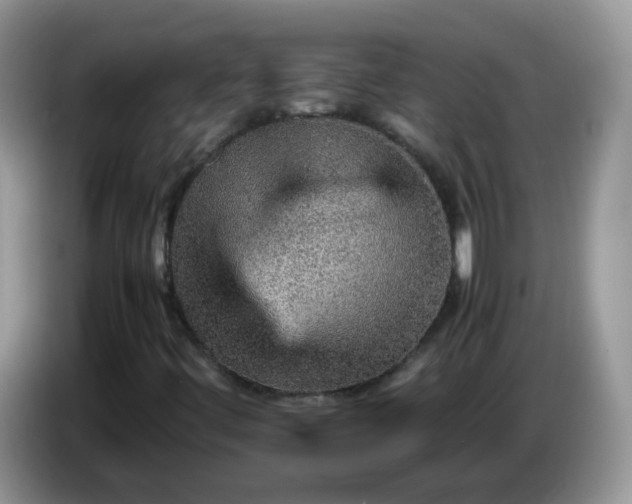 X0000086231444200704121906