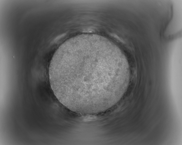 X0000086231446200704121906