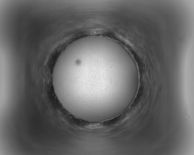 X0000086231447200704121906