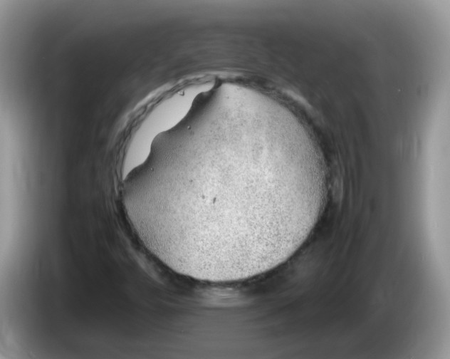 X0000086231448200704121906