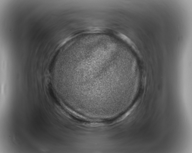 X0000086231449200704121906