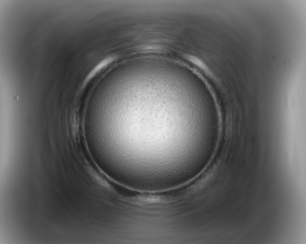 X0000086231450200704121906