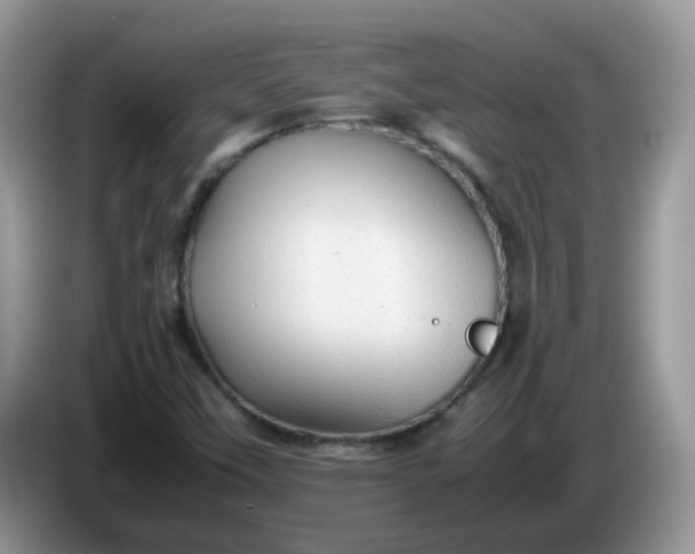 X0000086231451200704121906