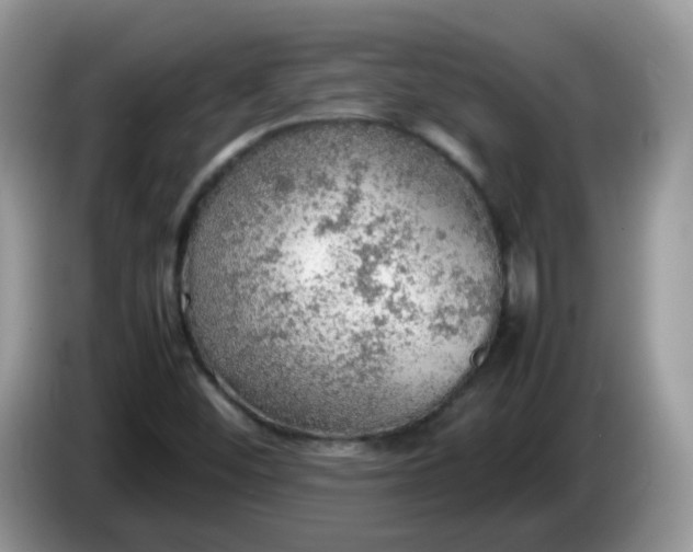 X0000086231452200704121906