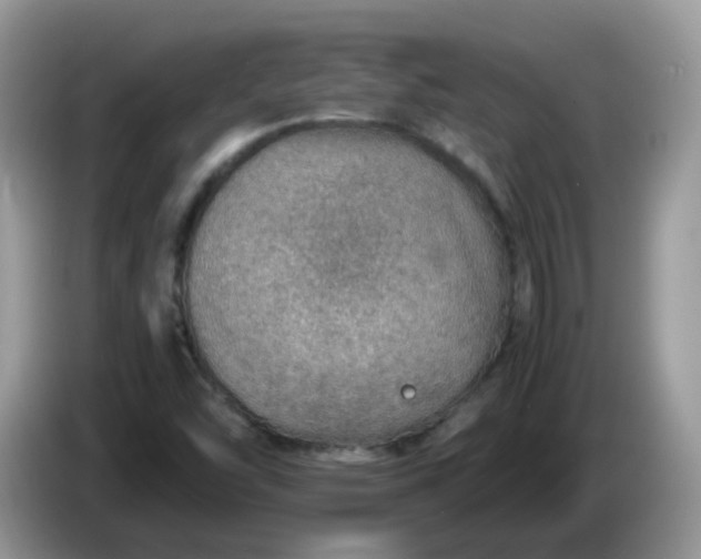 X0000086231454200704121906