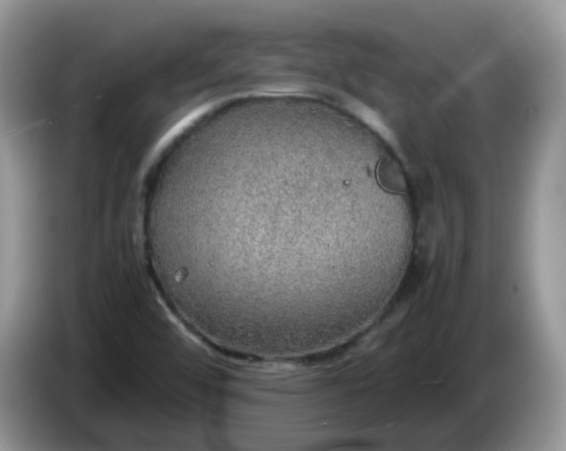 X0000086231456200704121906