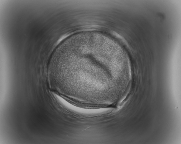 X0000086231457200704121906