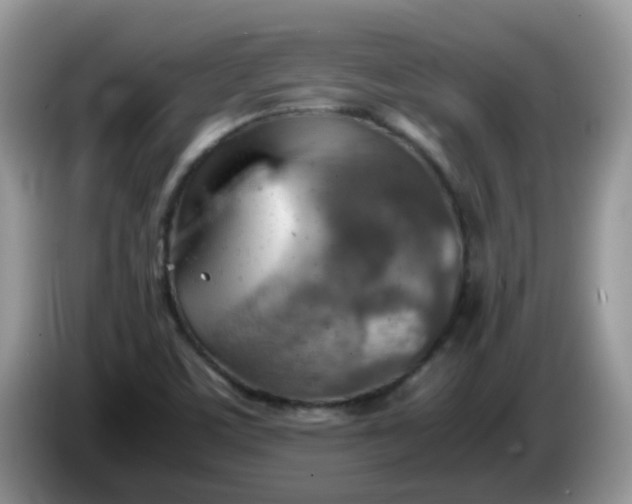 X0000086231459200704121906