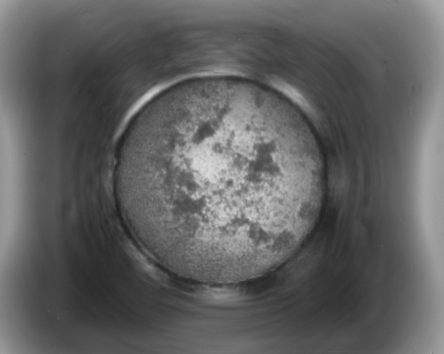 X0000086231460200704121906