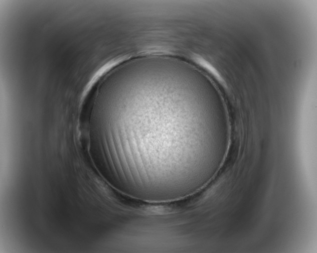 X0000086231461200704121906