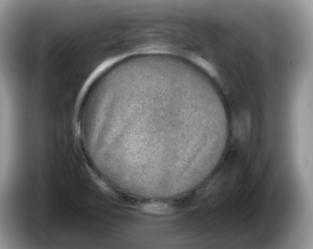 X0000086231462200704121906