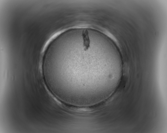 X0000086231464200704121906